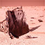 'Mars 2', National Geographic 2018 <br>
Production Designer: Sophie Becher & Adrian Smith