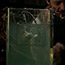 'Victor Frankenstein', 20th Century Fox 2014<br>
Production Designer: Eve Stewart